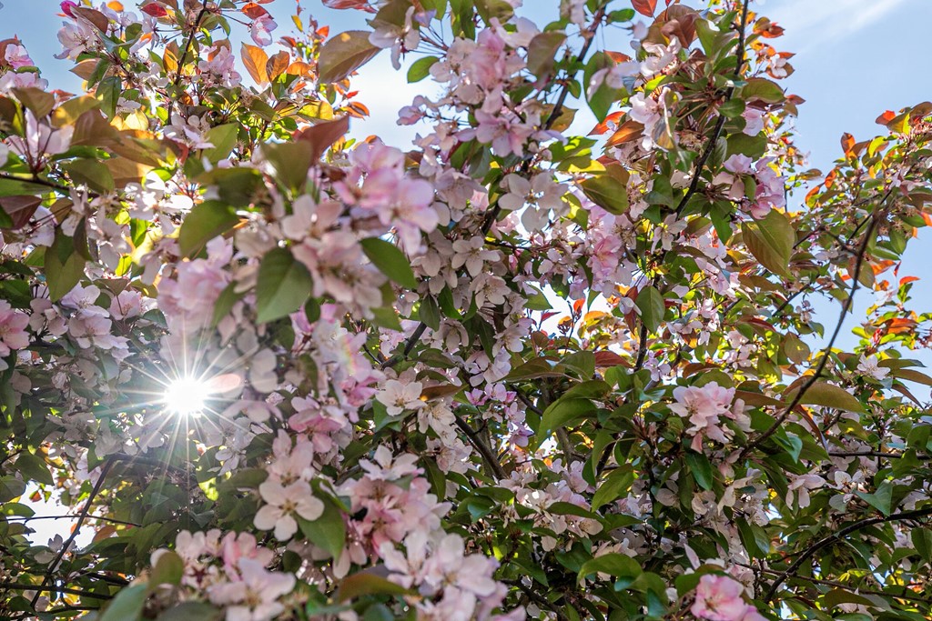 De Volder 71, Eline Makelaardij, Foto 34.jpg